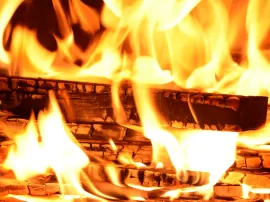 Fogoso o fogozo Diferencias definiciones y 20 ejemplos de familia de palabras de fuego