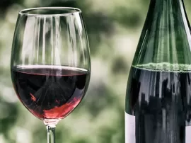 Descubre el mejor vino de Oporto en relación calidadprecio nuestras recomendaciones